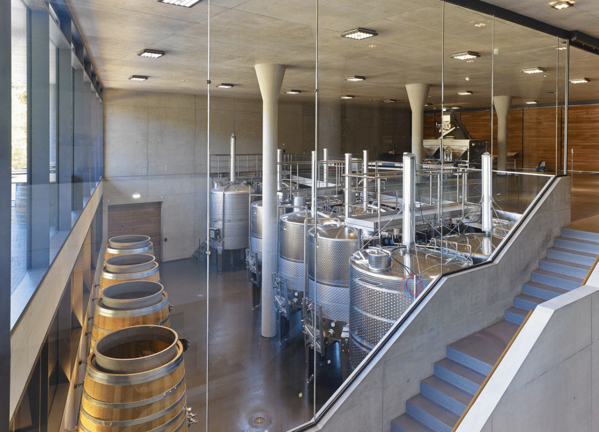 Interior Bodega de Fritz Keller (1)