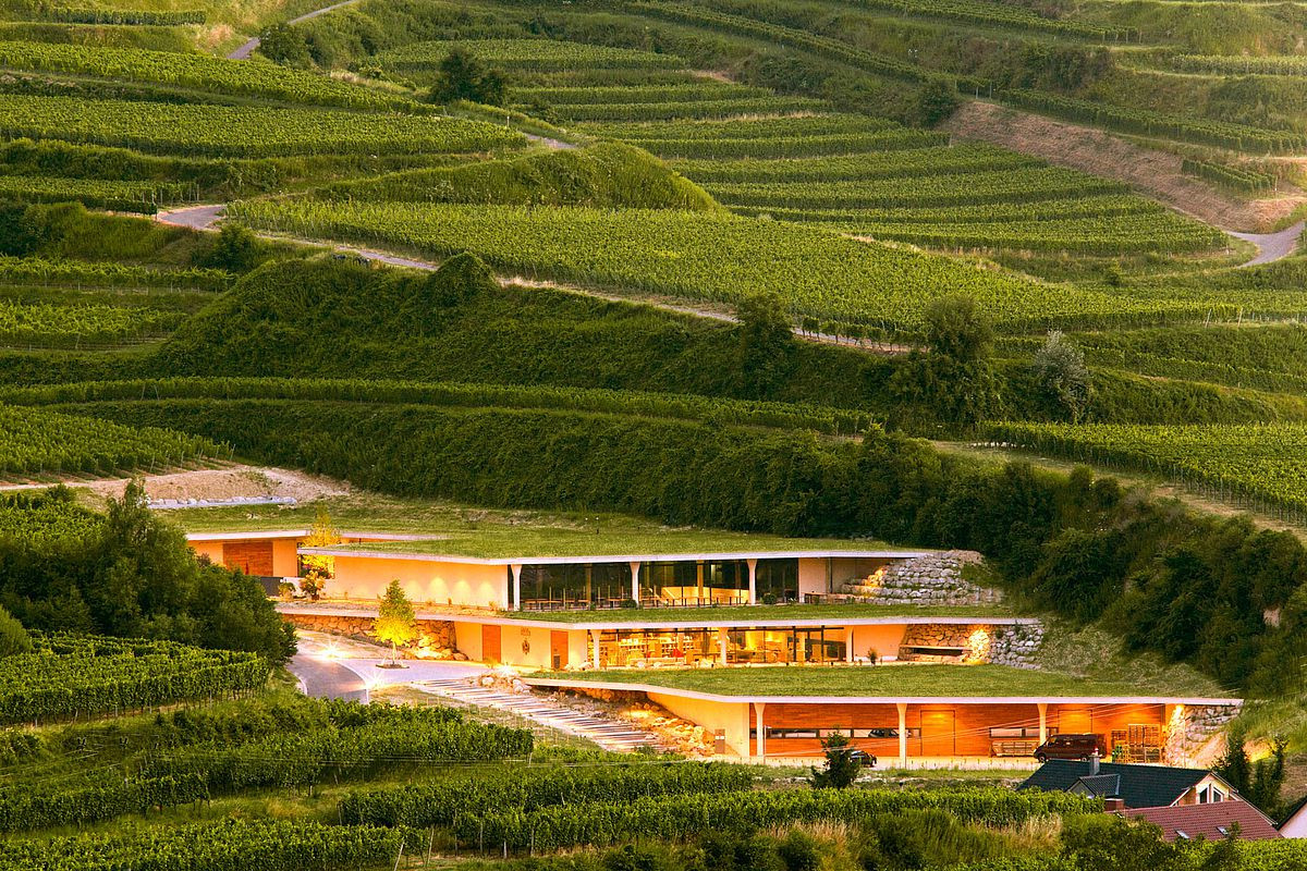 Viñedos, Bodega y Restaurante de Fritz Keller