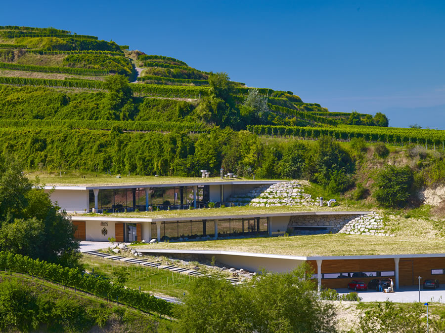 Weingut 007