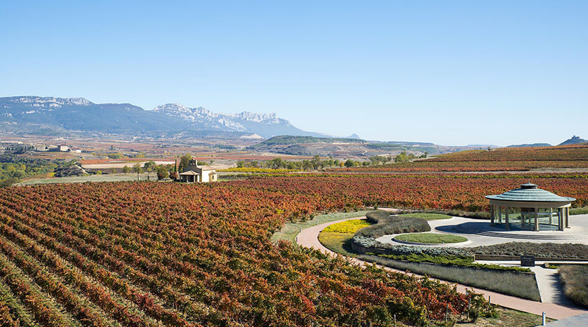 MUSEO VIVANCO DE LA CULTURA DEL VINO Y BODEGA OTOÑO