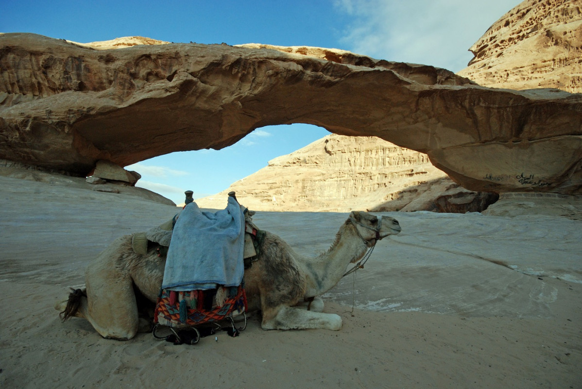 Jordania wadi rum  1387