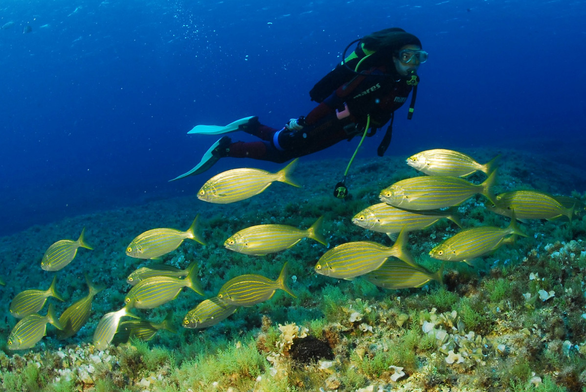 Formentera InformeTripAdvisor