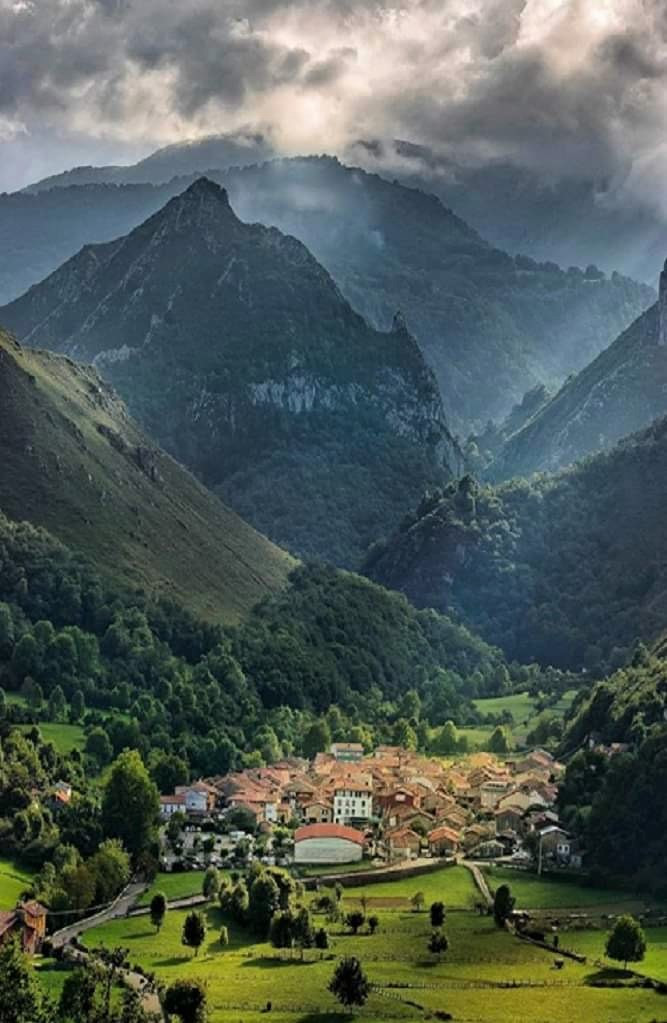 Parque de redes alto Nalón