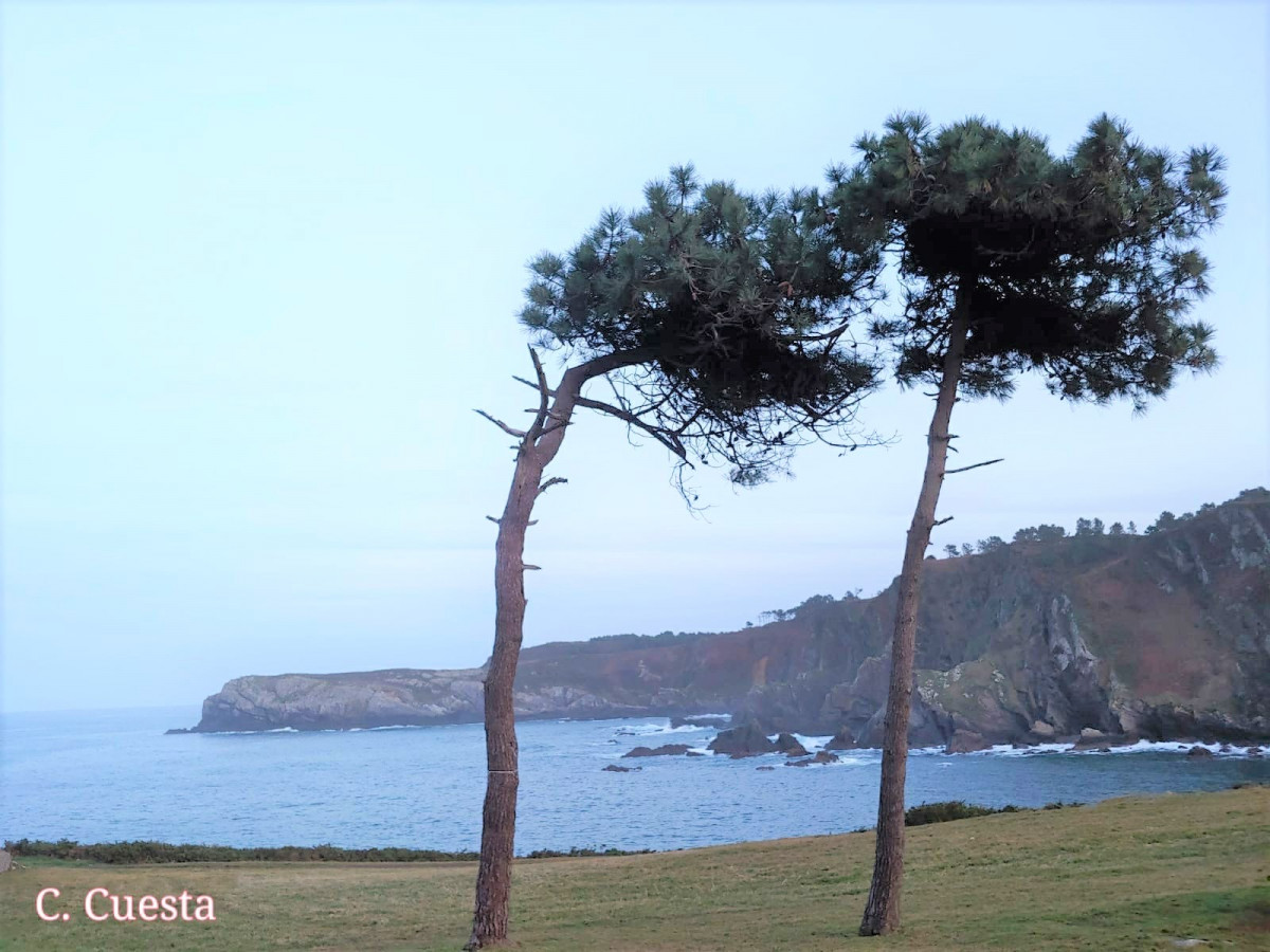 Carlos cuesta Muniello, Asturias