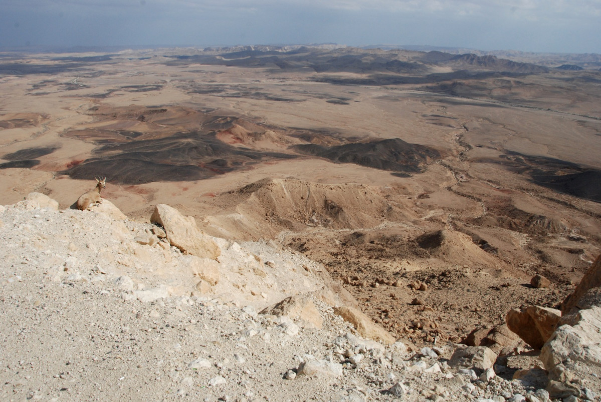 Israel Mitzpe Ramon 1600 2019