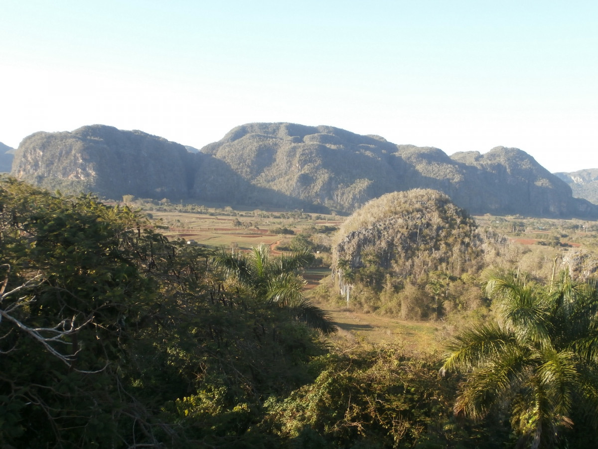 Cuba Valle de Viu00f1aes M. F. 1600 P3011007