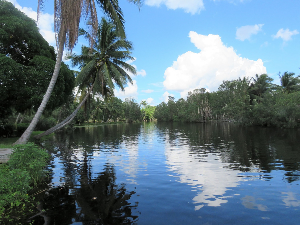 Cuba, cienaga de Zapata, la Laguna del tesoro 1515 2017