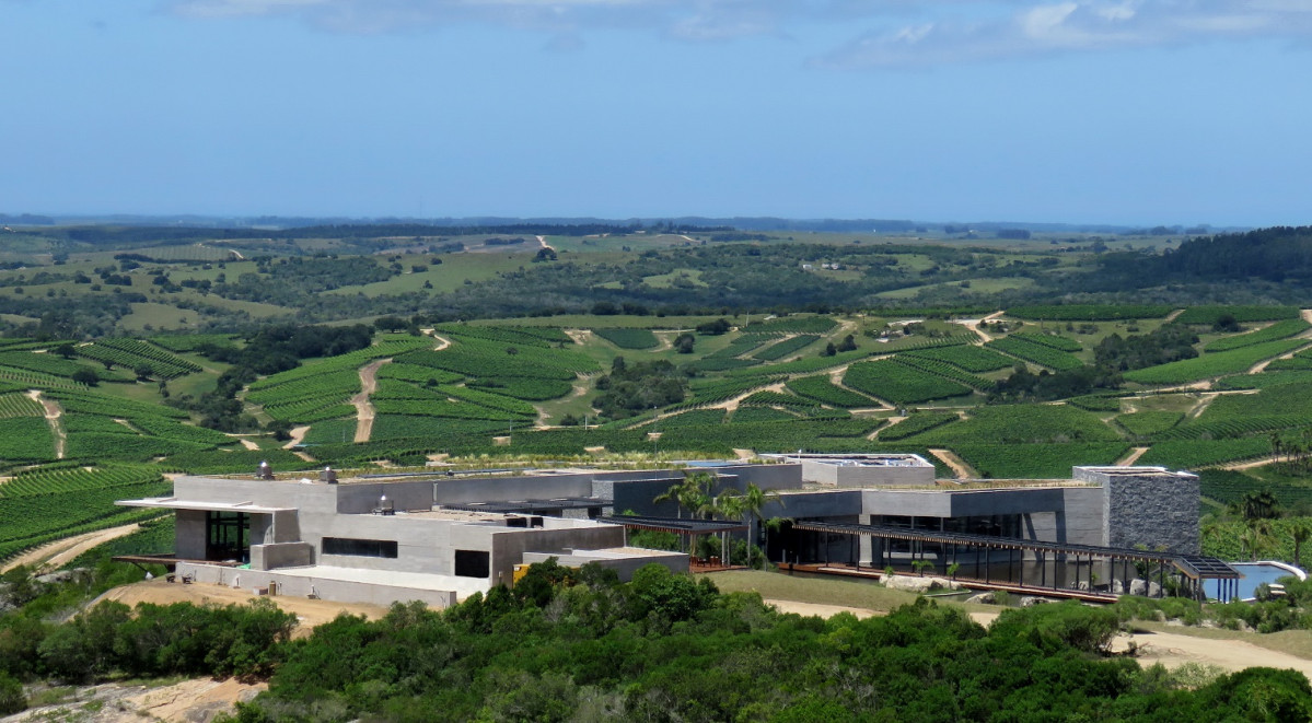 Uruguay Bodega Garzon Vista y Establecimiento 1494
