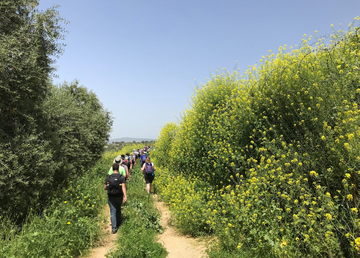 Nazareth and Jesus Trail 2019 1527