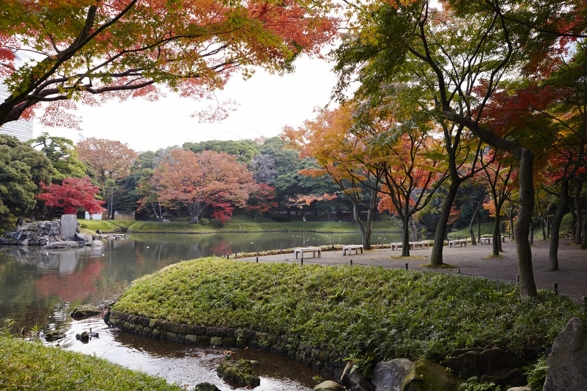 Tokyo Koishikawa Korakuen 1560