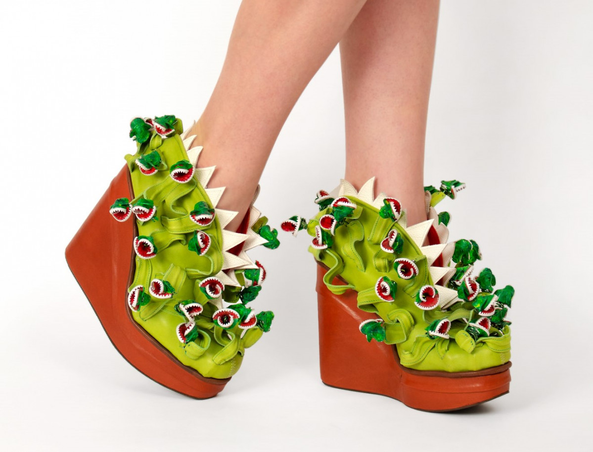 Zapato Zapato