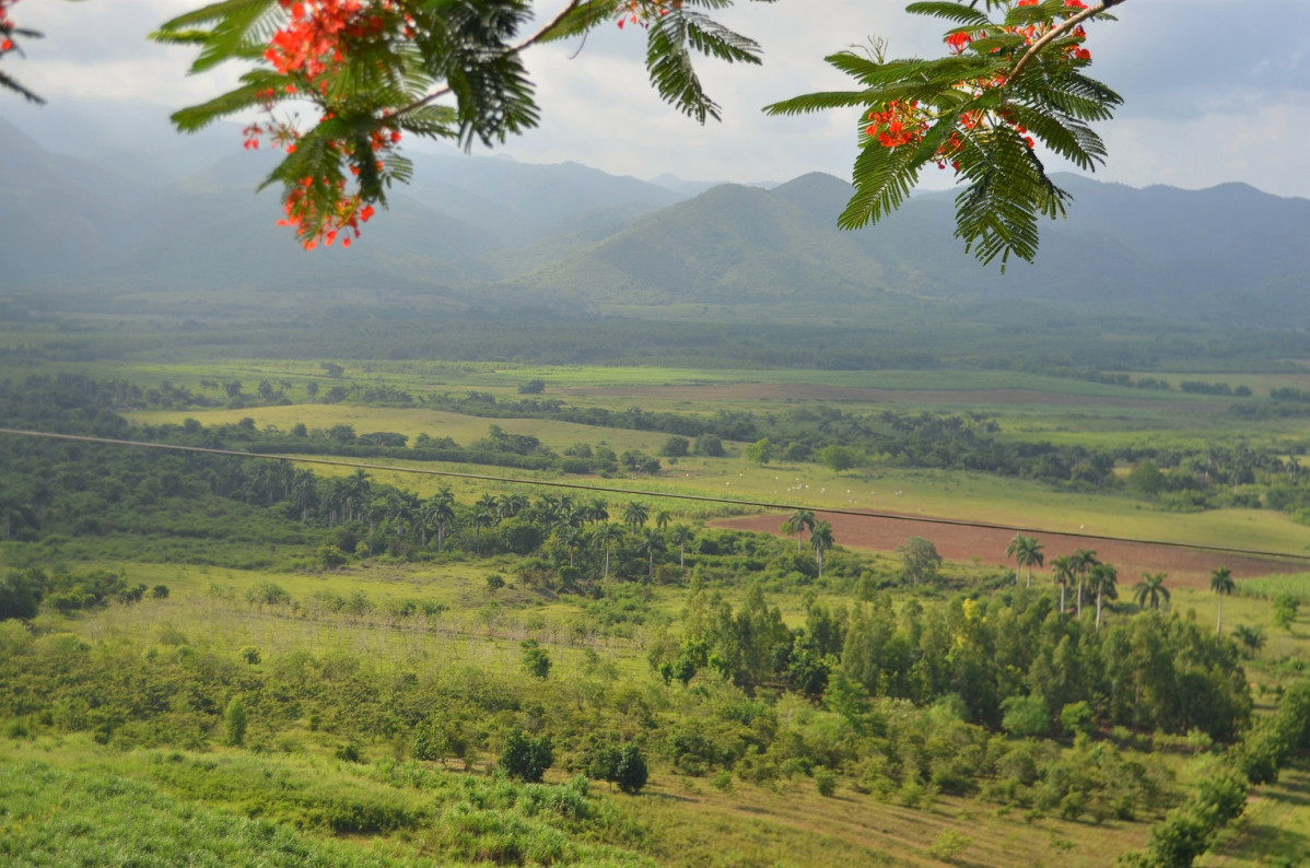 Cuba, Valle de los Ingenios 2018 1528