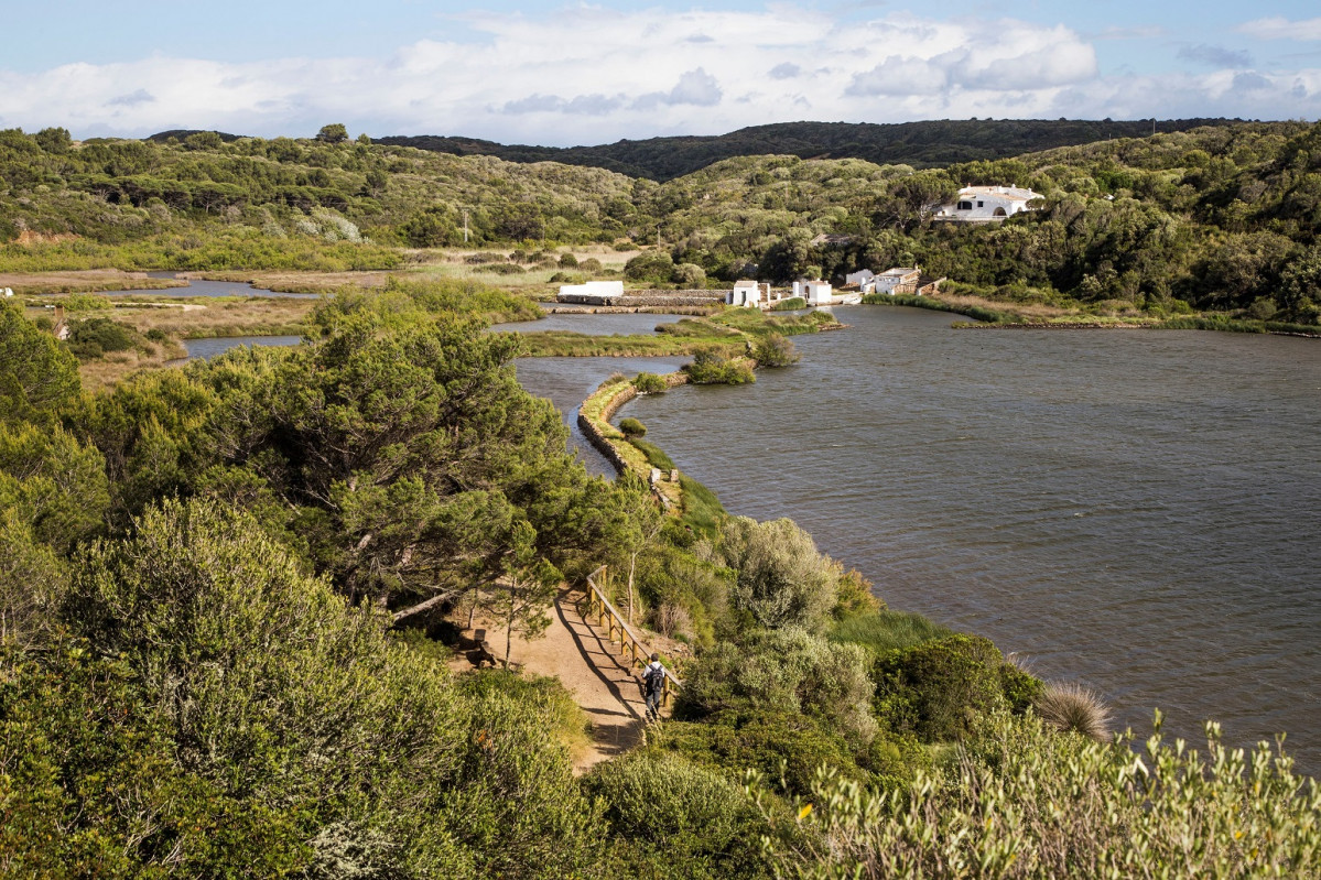 Menorca   Biosfere (S'Albufera) 1543