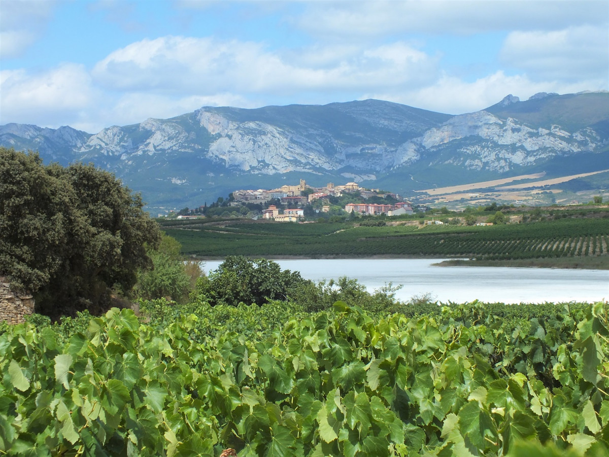 Laguardia Rioja Alavesa 1508