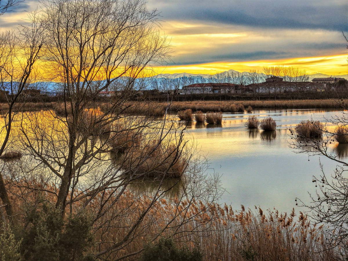 Lagunas de Laguardia. Rioja Alavesa. 2019 1600