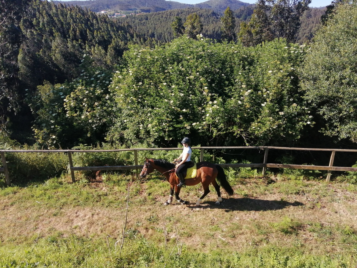 Club Hu00edpico Equo Alalma, Ferrol