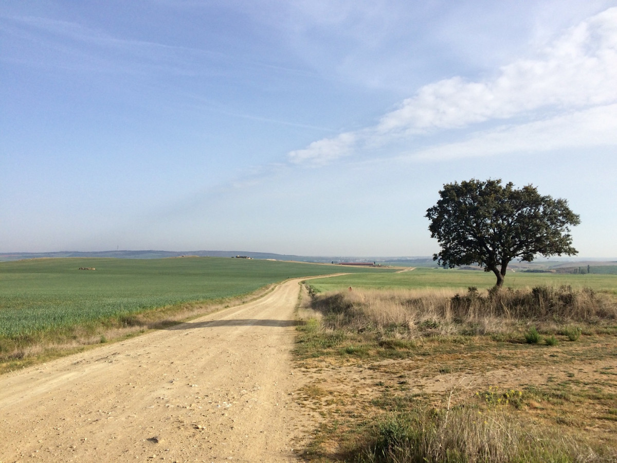 San Pedro de Rozados Salamanca, Ruta de la Plata (Via de la Plata), 2017 1500