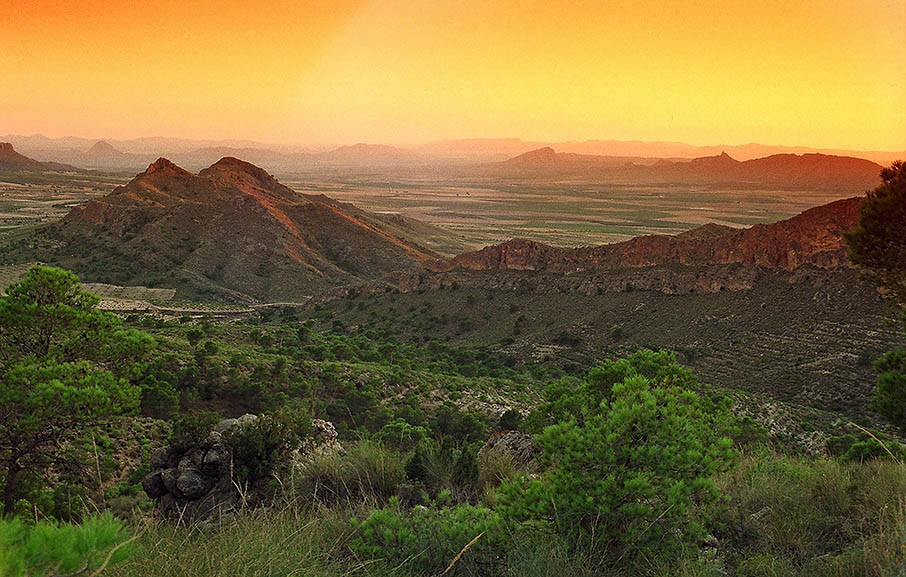 10. RV JUMILLA Sierra de Santa Ana, Paisaje de la Buitrera