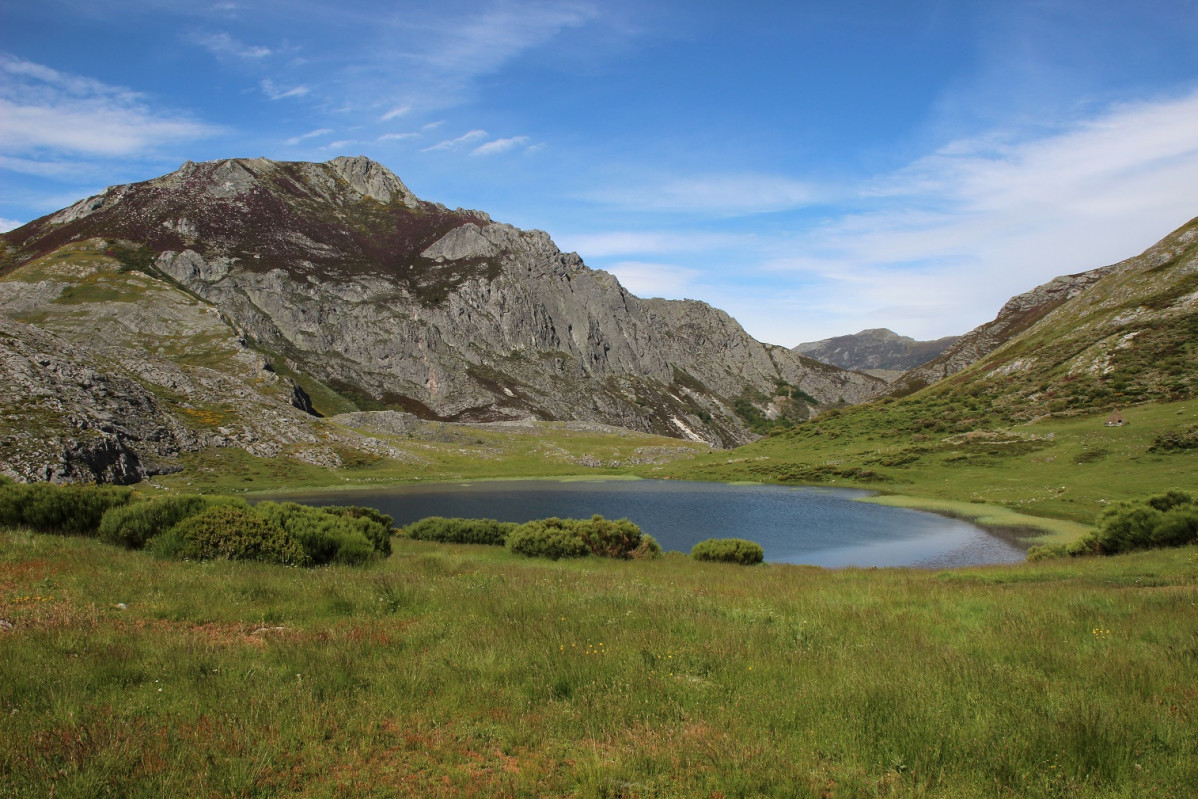 Leu00f3n LAGO AUSENTE 1500