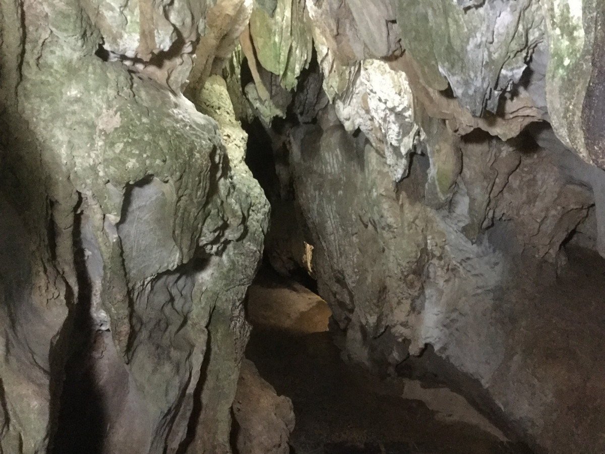 Viu00f1ales, Cueva del Indio ( Cuba) miu00f1a IMG 2356 1600