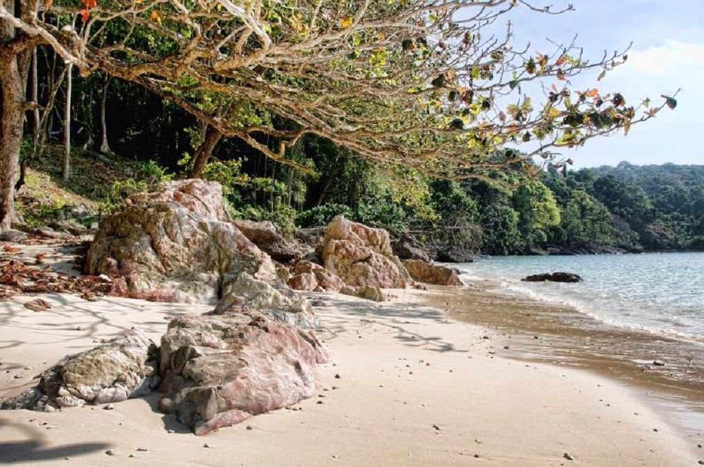 Tenggol Island, Malasia 1000