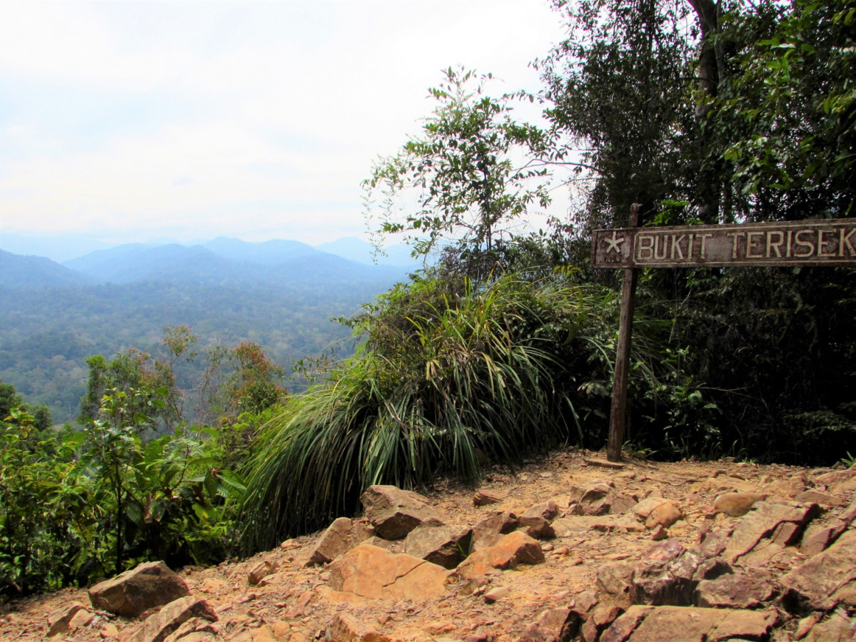 Bukit Teresek, Malasya 2014 1500