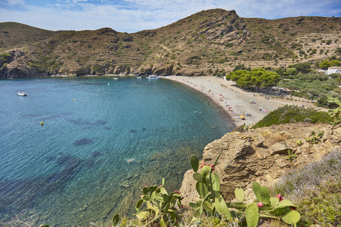 Rosas Cala Joncols 1688