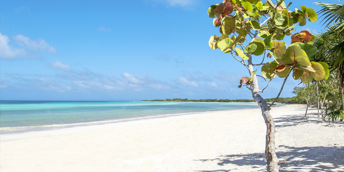 Playa el Paso en Cayo Guillermo partyepartenze