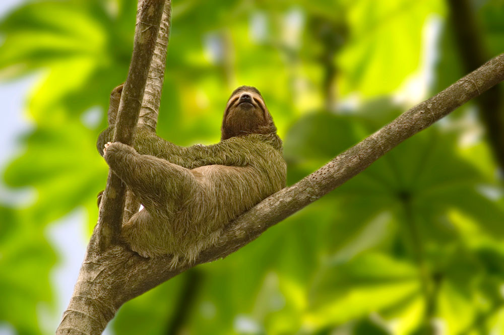CostaRica 2