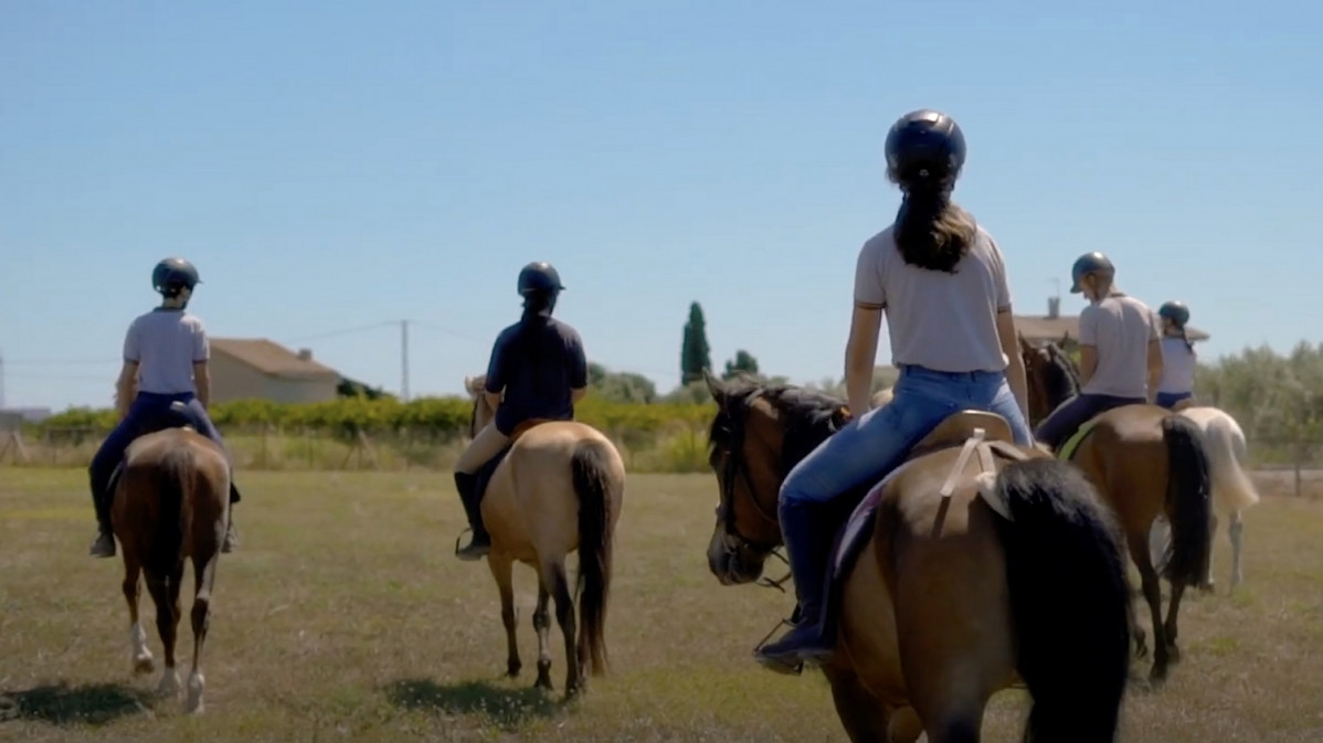 Castellu00f3  CABALLOS 1500