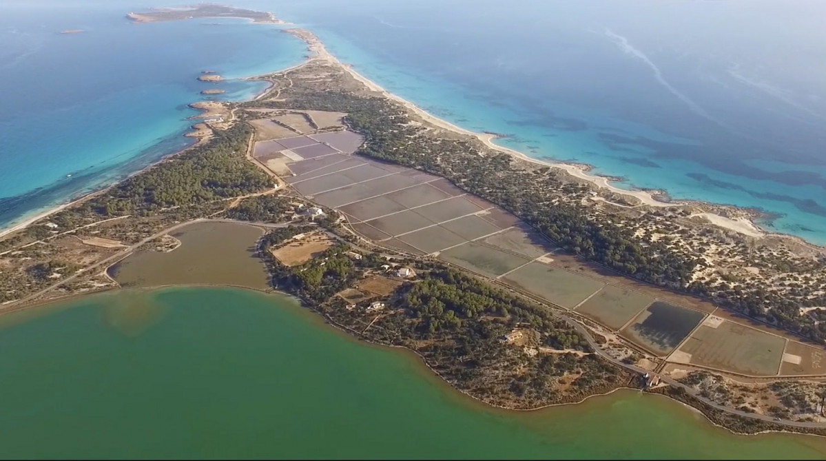 Formentera Tesoro 1520