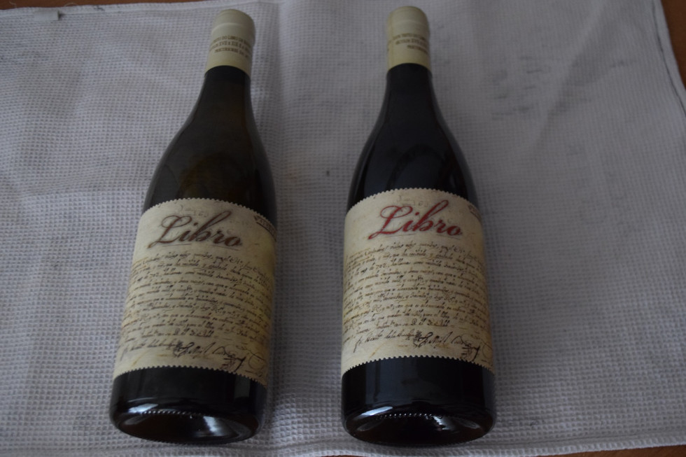 Libro Blanco y Rinto, Manolo Pozo 1600
