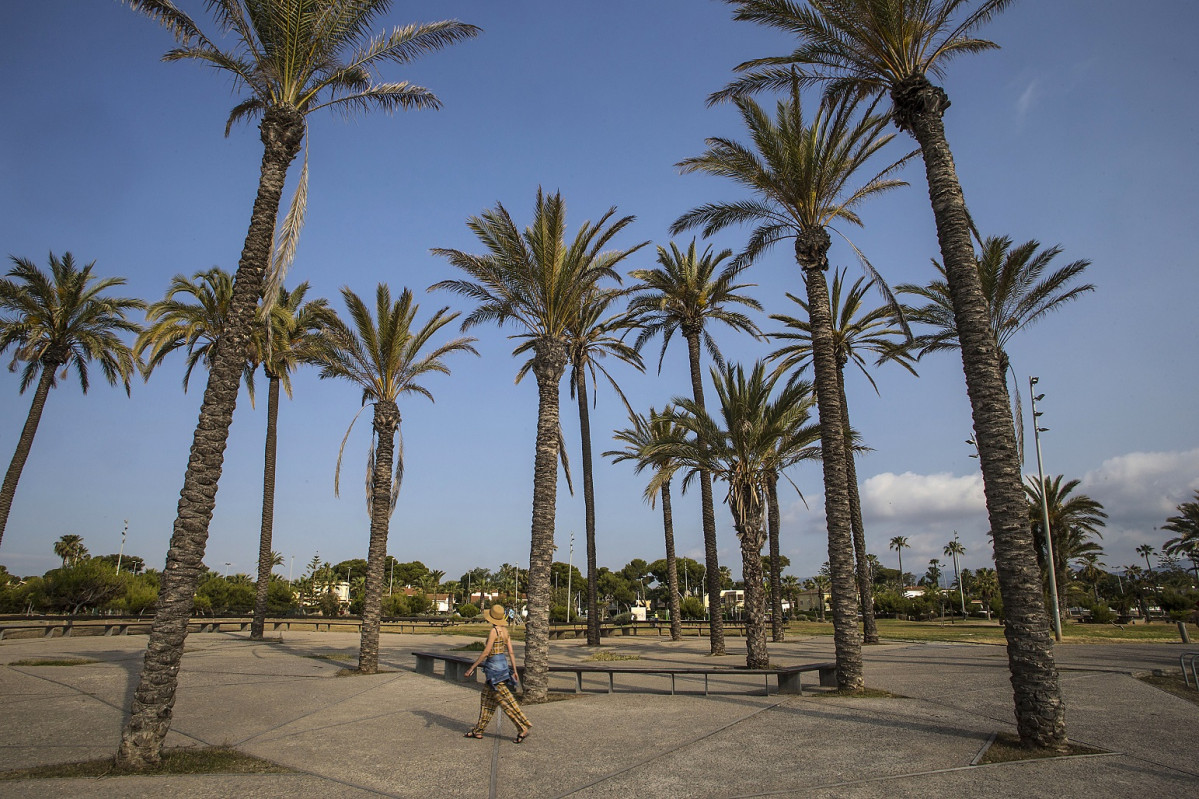 CASTELLÓN (junio 2019)   Parque del Pinar