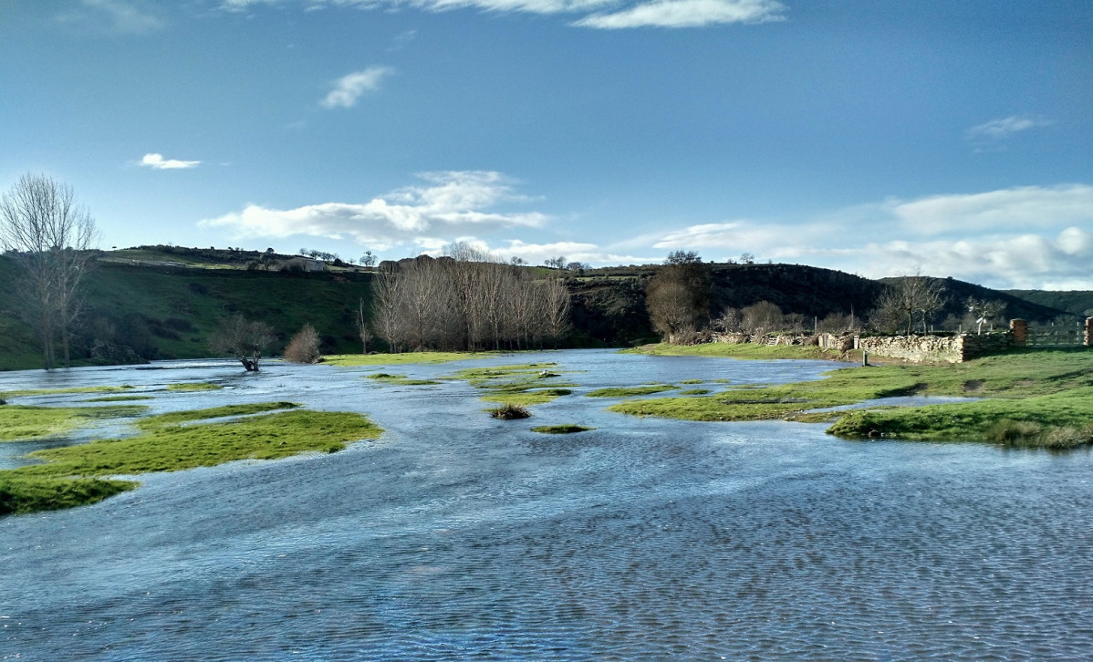 Ru00edo Aliste, zamora