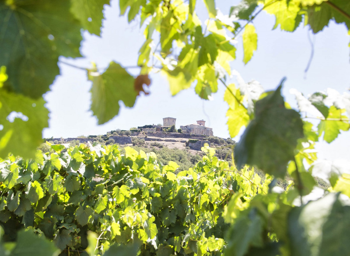 Ruta de Vino Monterrei