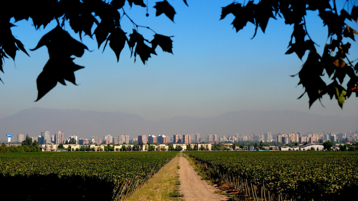 Chile Viu00f1a Cousiu00f1o Macul, al fondo Santiago y la Cordillera 1500