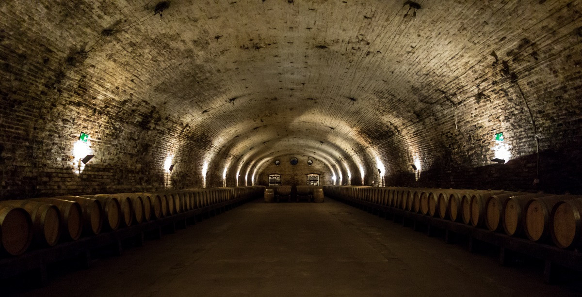 Chile Viu00f1a Cousiu00f1o Macul, Bodegas 2019