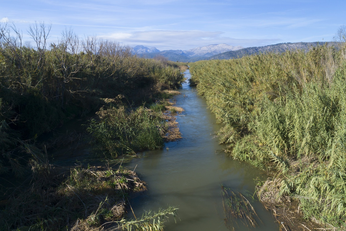 Albufera 1544, Mallorca