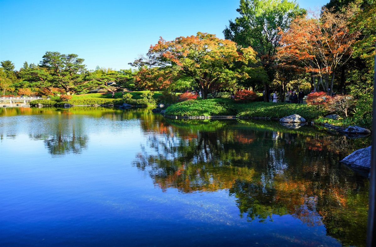 Lake at Showa Memorial Park 1591