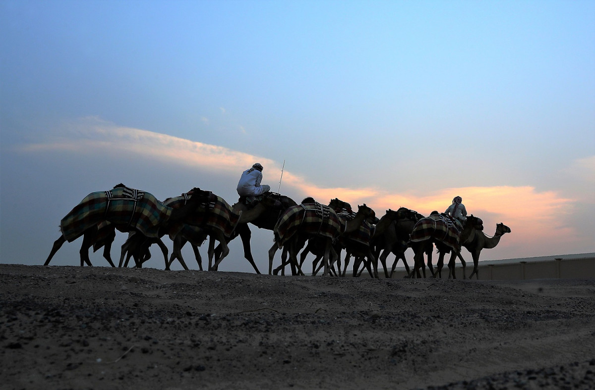 Dubai Desierto de Al Marmoom 1500