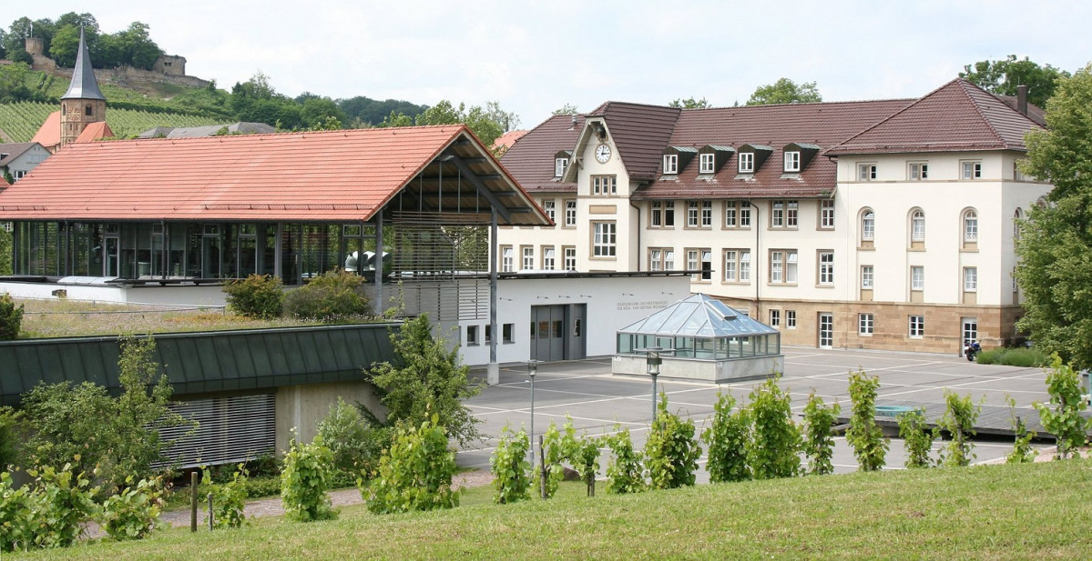 Weinsberg LVWO