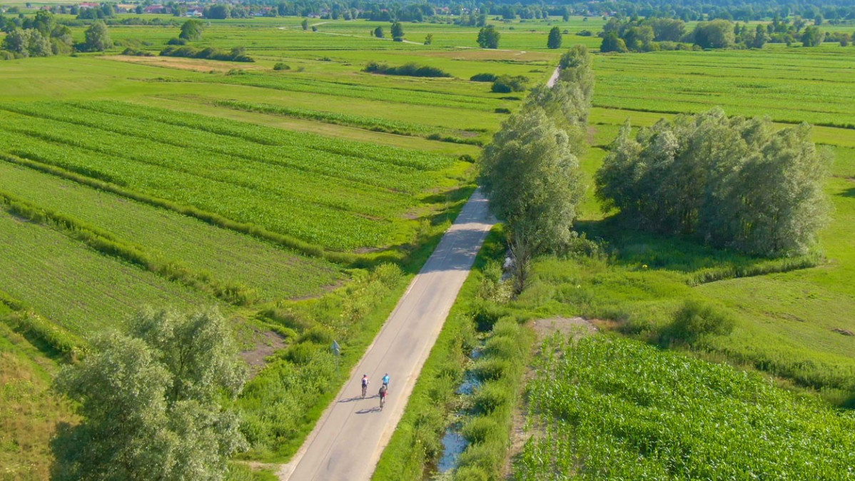 Eslovenia Ljubljana Marshes (Lagos)