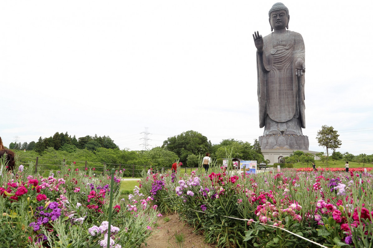 Japu00f3n Ushiku daibutsu @Kimberrywood 1500