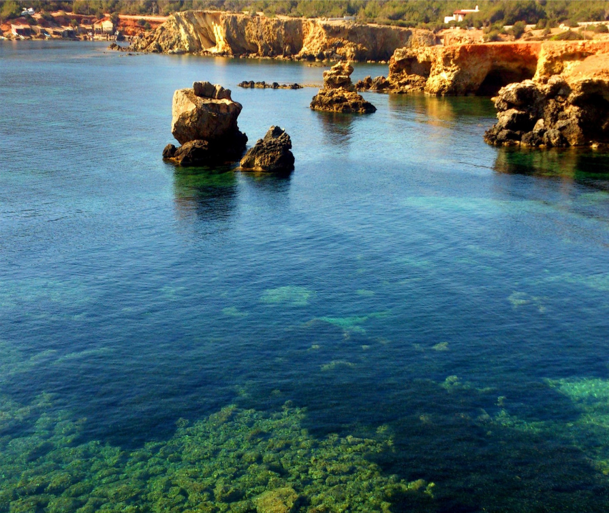 Ibiza Canal d'en Martu00ed beach 1