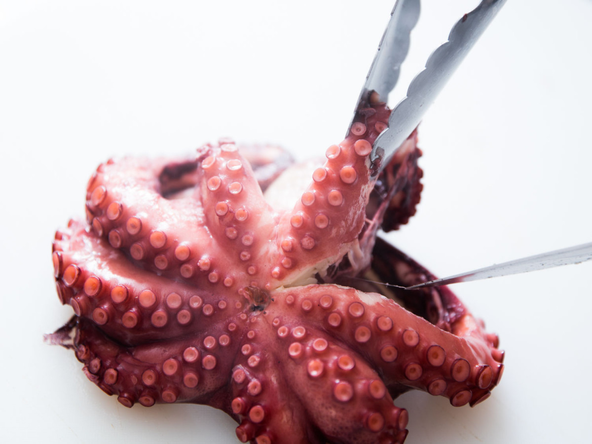 Pulpo Cocido