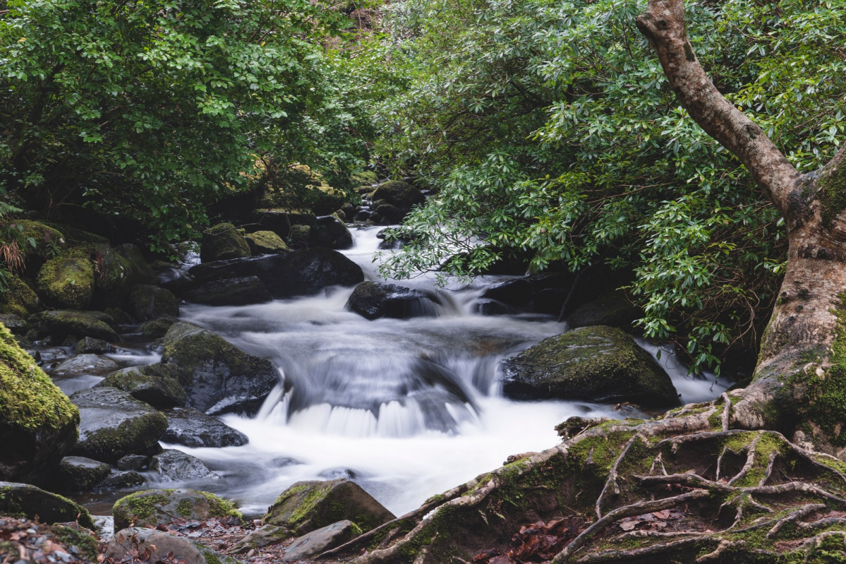 Torc Waterfall, Killarney, Ireland  aranka sinnema B3MH2eQAdSE unsplash