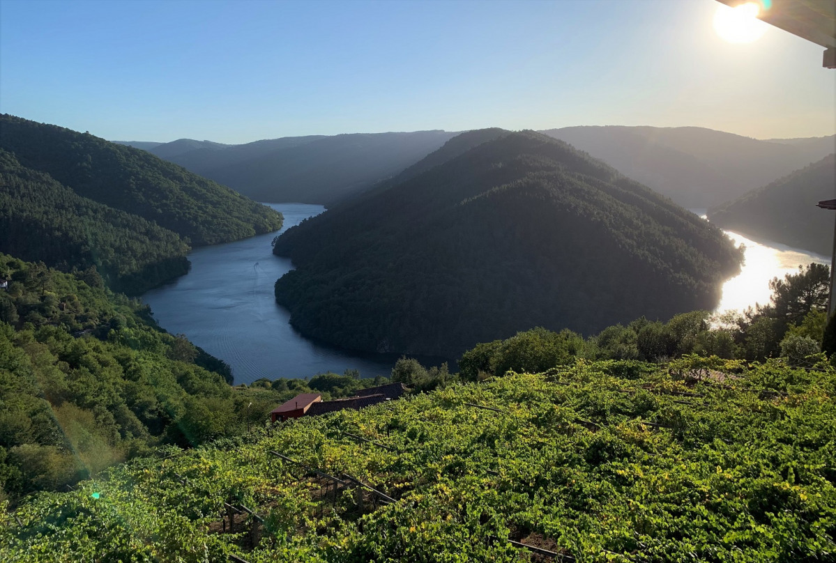 RIBEIRA SACRA, MEANDO O CABO DO MUNDO, DESDE EL MIRADOR DE ADEGAS MOURE EN CUu00d1AS, LUGO 1551 Miu00f1a