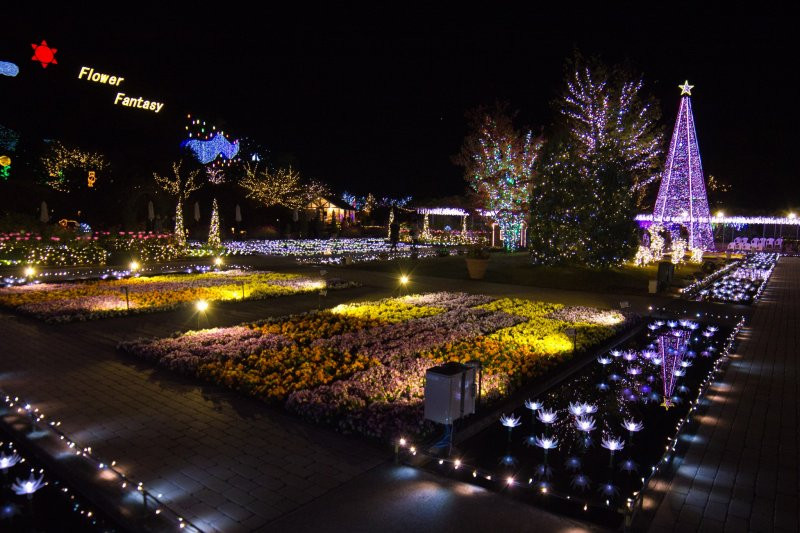 Ashikaga flower park illumination 3