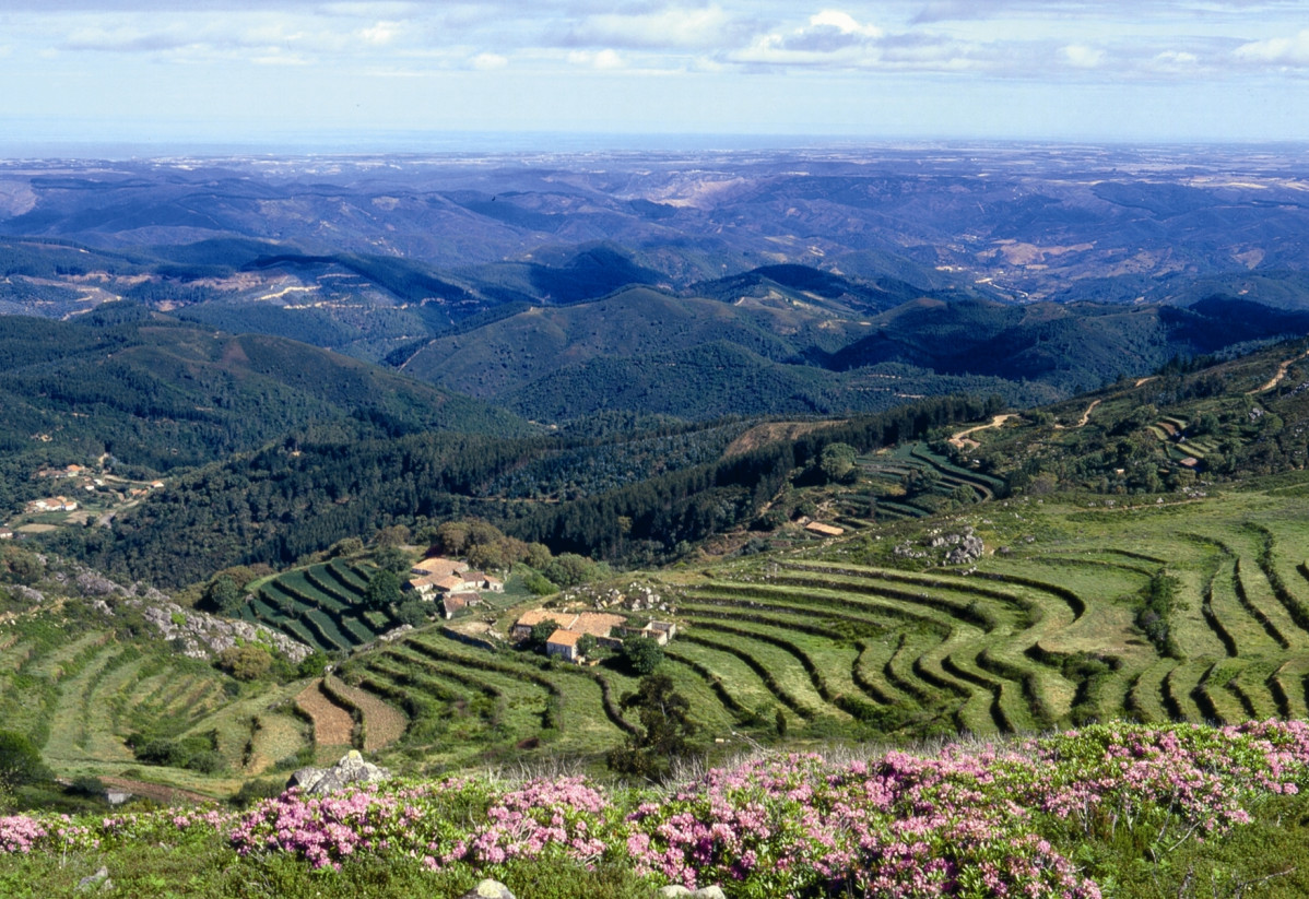 Portugal Sierra de Monchique (Turismo do Algarve) 2