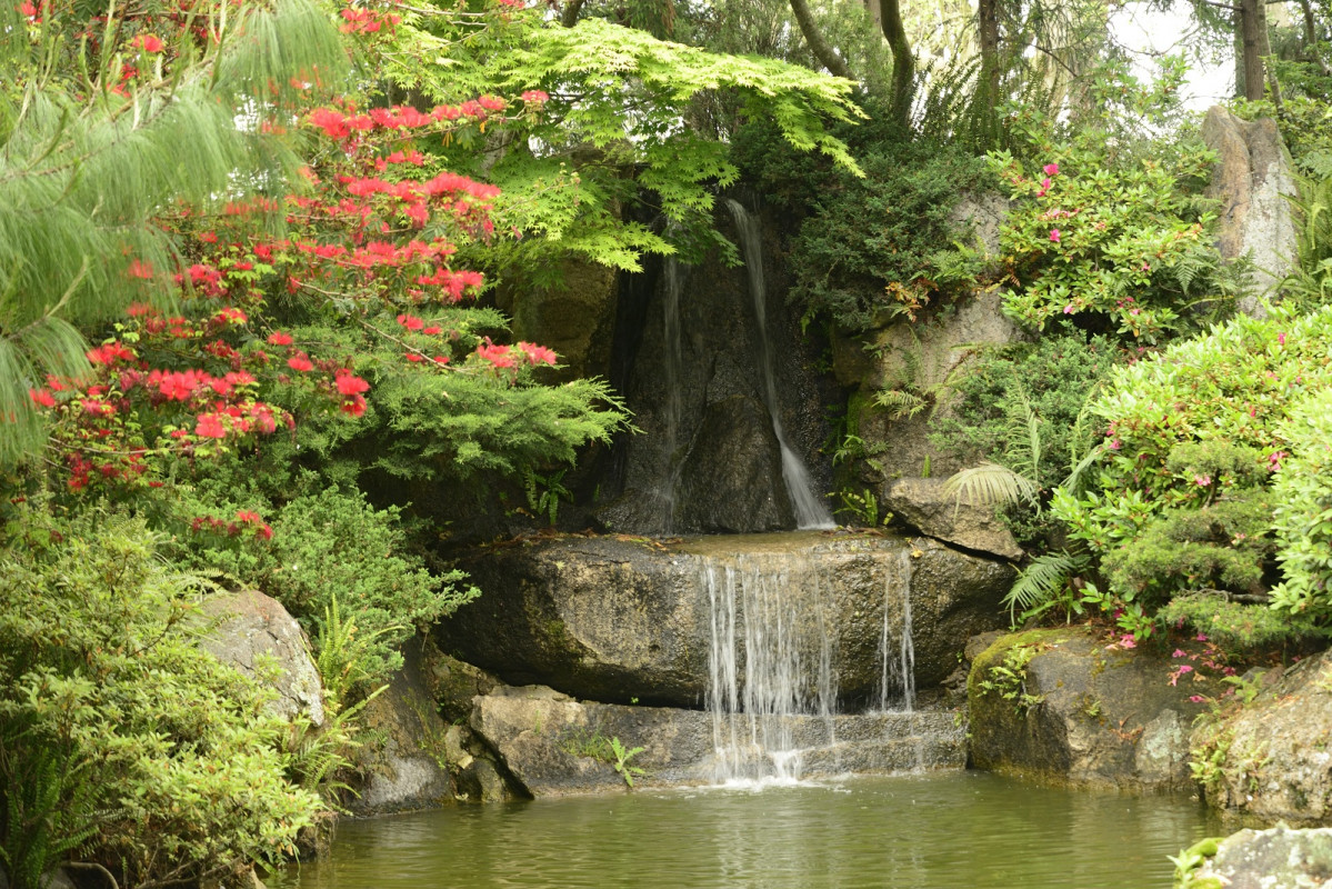 Jardin Japones. Montevideo. Uruguay 1601